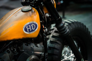 vincitrice-italiana-botk-2018-h-d-bologna-3