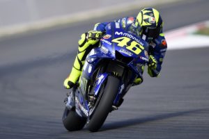 rossi cat