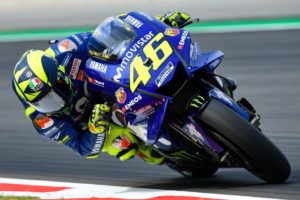 rossi cat