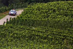 Hyundai_Motorsport_Germania (1)