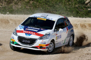 Damiano De Tommaso,Michele Ferrara (Peugeot 208 R2 #34, Aci Team Italia)