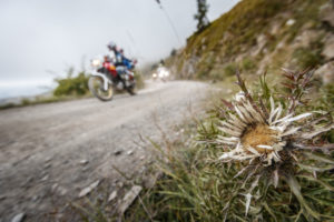 hat18-pres-stampa-57-j6a5874