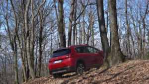 SUV 2008 stabilmente sul Podio delle Peugeot piu vendute 2