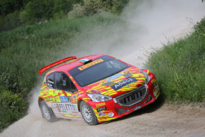 Paolo Andreucci, Rudy Briani (Peugeot 208 T16 #2, Maranello Corse