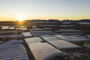 7mml-mar-de-plastico