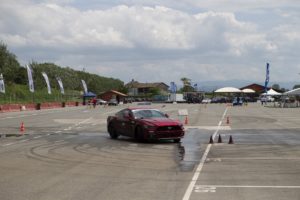 FordPerformance Fleet 1