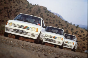 PEUGEOT 205 RALLYE (1)