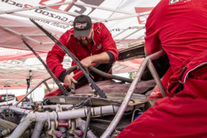 20190914-tgr-dkr-t03-002-373527