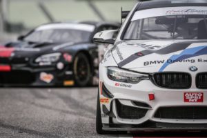 P90391523_highRes_bmw-m4-gt4-bmw-m6-gt
