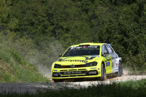 Simone Campedelli-Sauro Farnocchia, Volkswagen Polo R5 #2, Project Team