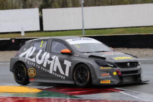 Arduini Bodega Peugeot 308TCR_2