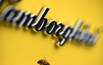 Lamborghini: progetto di biomonitoraggio ambientale per le api