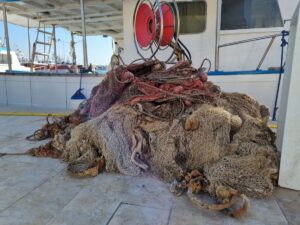 Hyundai e Healthy Seas_Lampedusa (3)