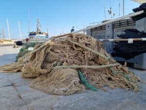 Hyundai e Healthy Seas_Lampedusa (4)